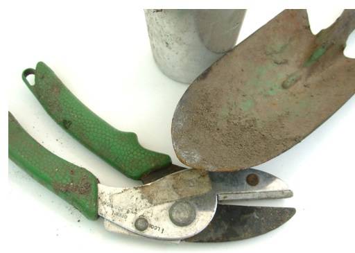 Secateurs and trowel
